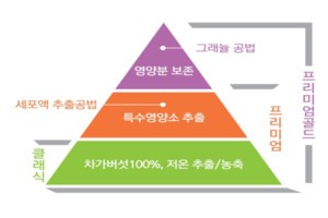 오기남차가버섯 3가지 제품 차이와 특징 | 클래식, 프리미엄, 프리미엄골드
