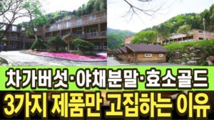 오기남차가버섯이 20년간 단 3가지 제품만 고집하는 진짜 이유