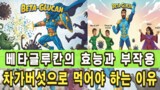 베타글루칸의 효능, 차가버섯으로 먹어야 하는 이유