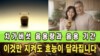 차가버섯 음용량과 음용기간, 이것만 지키면 효능이 달라집니다