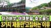 오기남차가버섯이 20년간 단 3가지 제품만 고집하는 진짜 이유