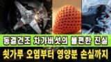 동결건조 차가버섯의 불편한 진실 | 쇳가루 오염부터 영양분 손실까지