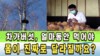 차가버섯은 얼마나 오래 먹어야 효능을 볼 수 있나요?