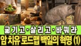 암을 굶기고, 장기를 살리고, 체질을 바꿔라 | 백일의 혁명 (1)