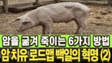 암을 굶겨 죽이는 6가지 실전 식사법 | 백일의 혁명 (2)
