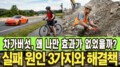 차가버섯, 왜 나만 효과가 없었을까? 실패 원인 3가지와 해결책