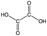 오기남차가버섯과 옥살산, 안심하셔도 됩니다
